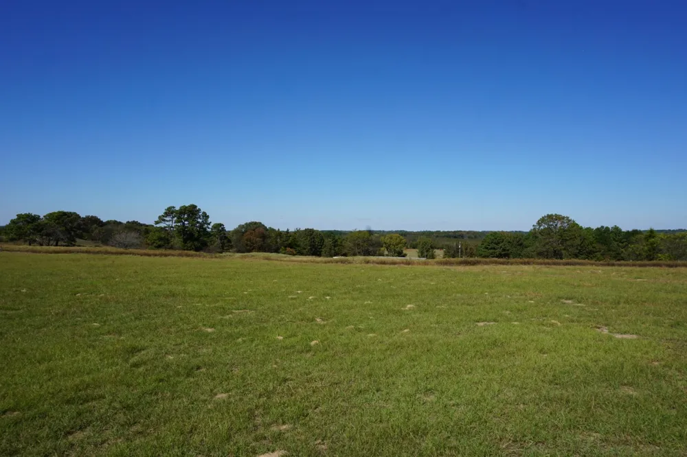 4301 Plainview Road Naples, TX 75571