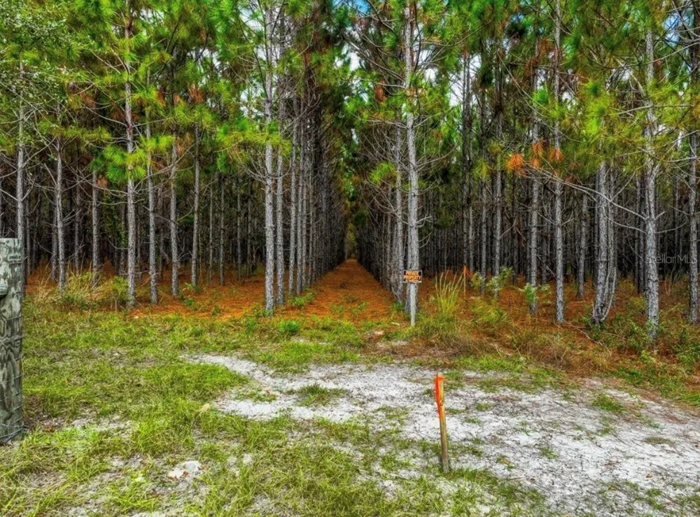 000 NW 78TH AVENUE Newberry, FL 32669