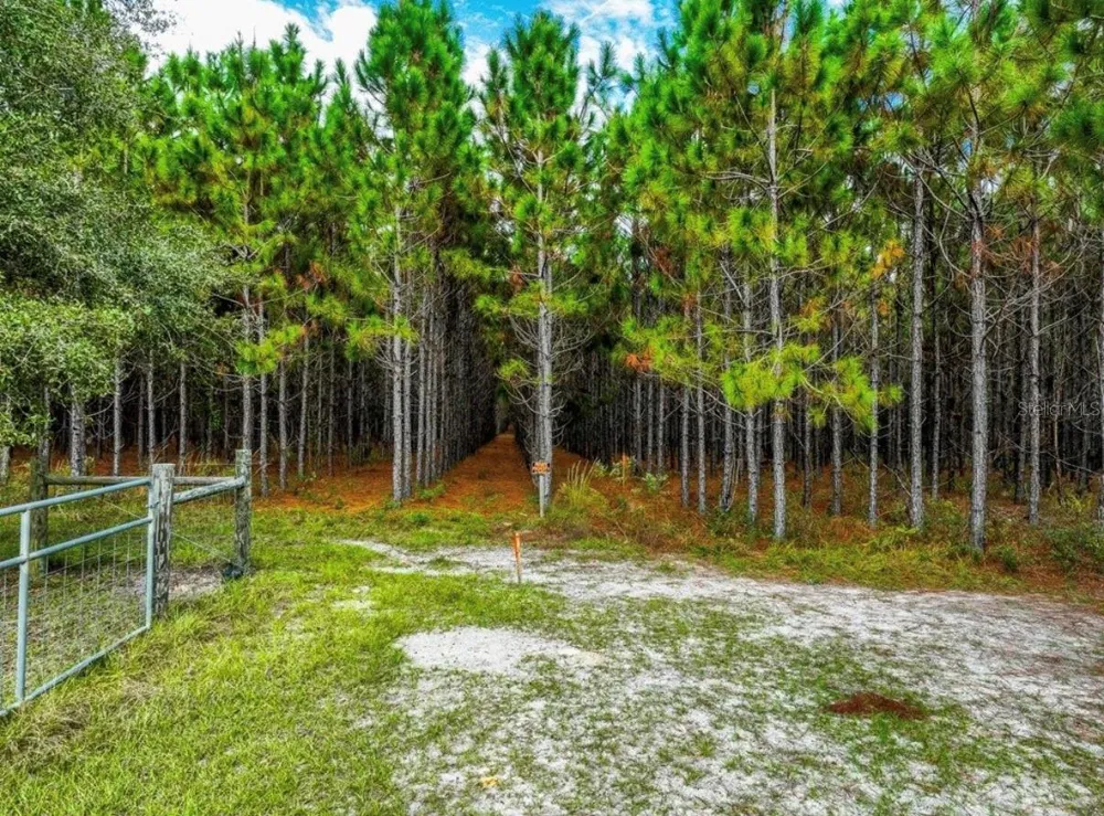 000 NW 78TH AVENUE Newberry, FL 32669