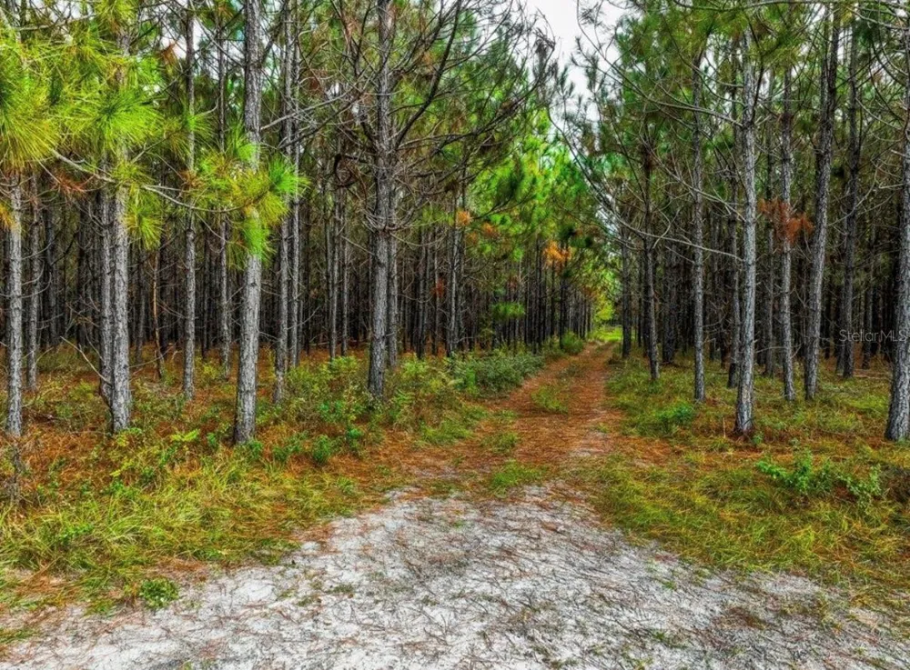 000 NW 78TH AVENUE Newberry, FL 32669
