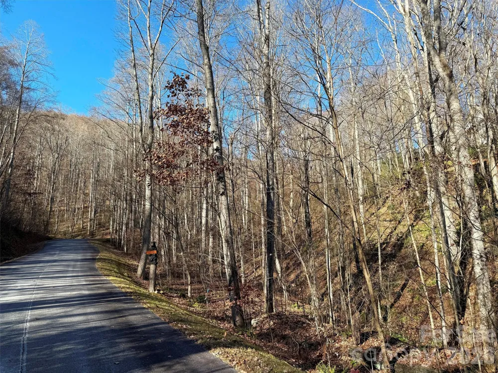 00 Mountain Watch Drive #1 Maggie Valley, NC 28785