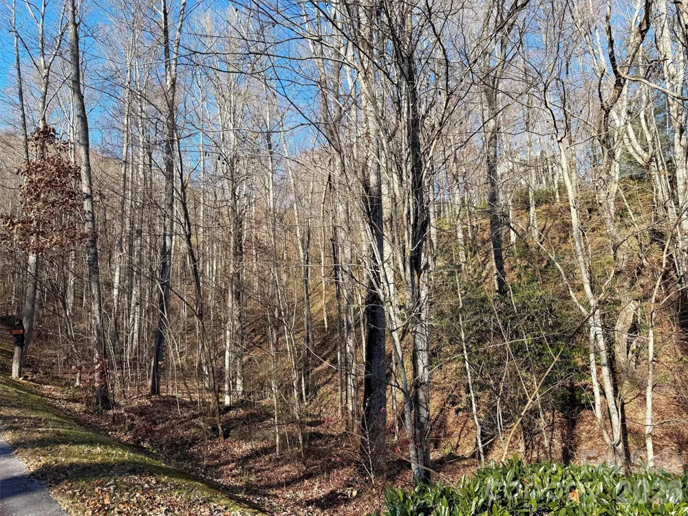 00 Mountain Watch Drive #1 Maggie Valley, NC 28785
