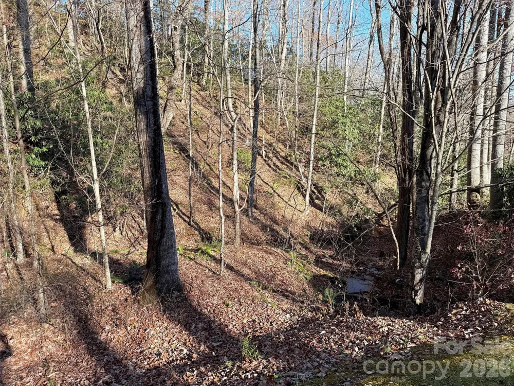 00 Mountain Watch Drive #1 Maggie Valley, NC 28785