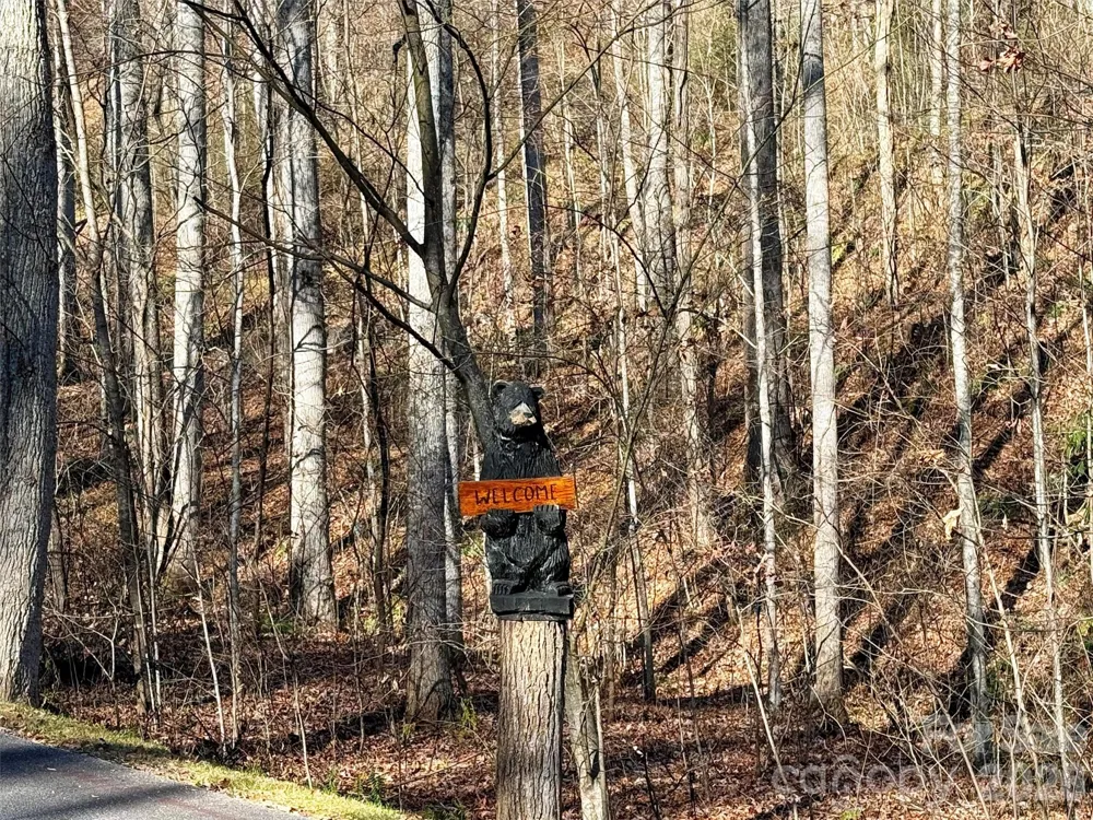 00 Mountain Watch Drive #1 Maggie Valley, NC 28785