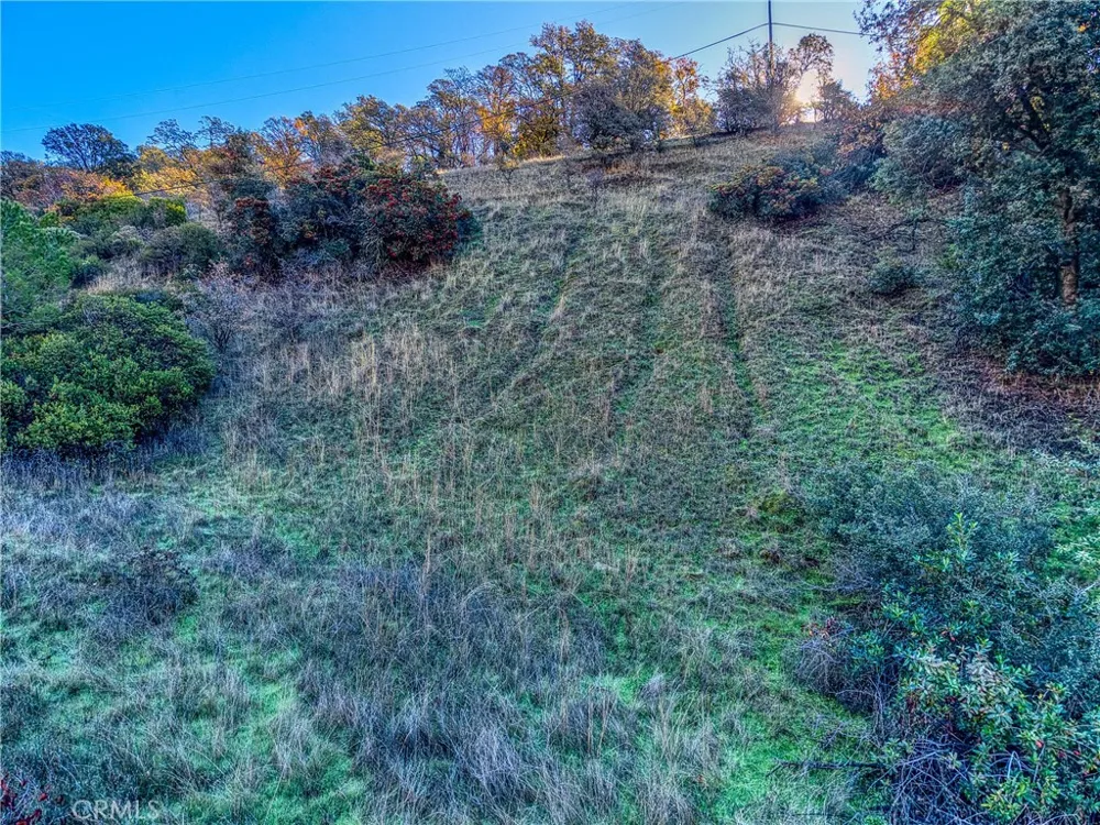 7431 Bruner Glenhaven, CA 95443