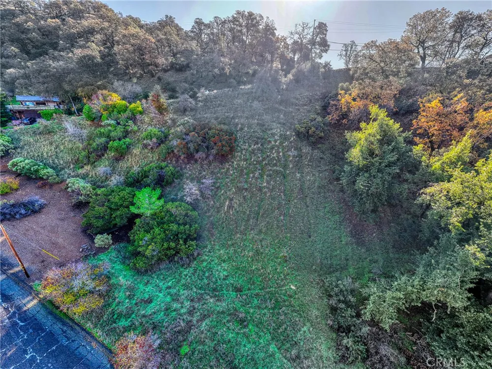 7431 Bruner Glenhaven, CA 95443