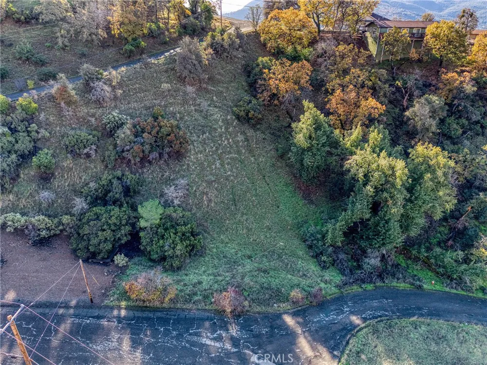7431 Bruner Glenhaven, CA 95443