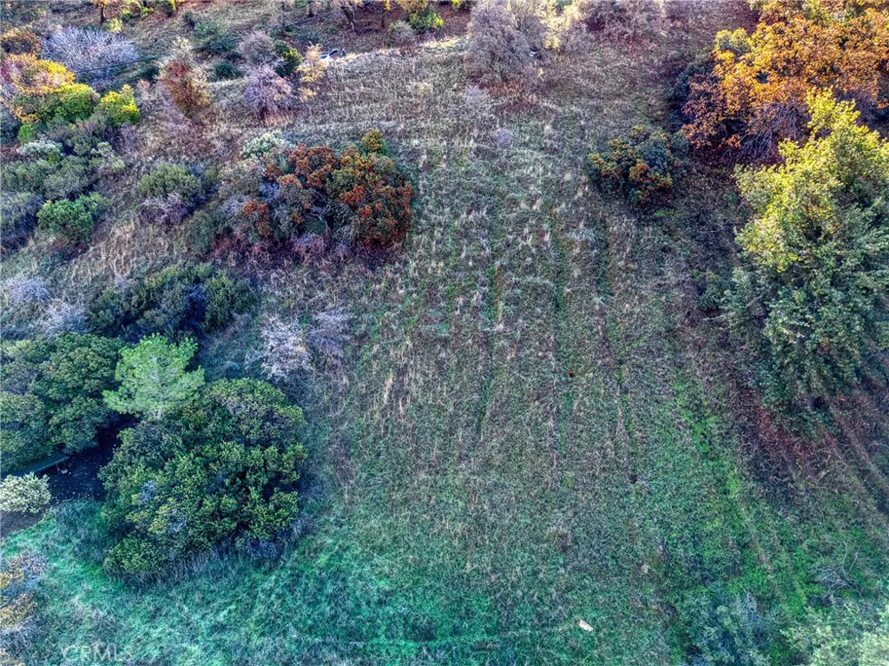 7431 Bruner Glenhaven, CA 95443