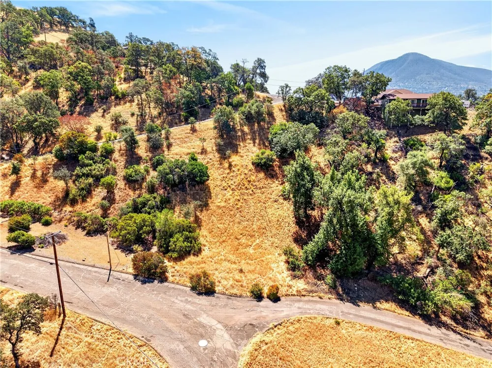 7431 Bruner Glenhaven, CA 95443