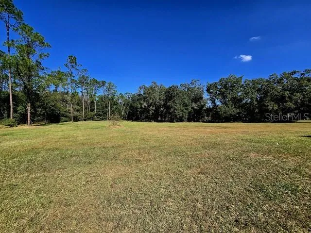 2518 SUNSET LANE Lutz, FL 33559