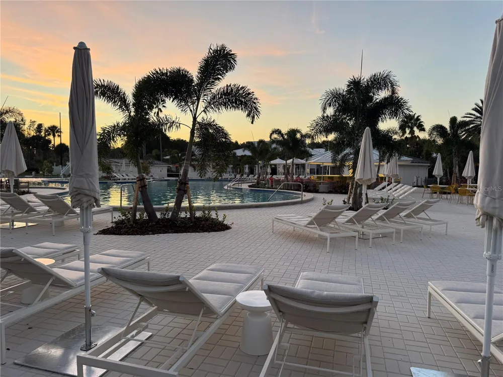 4786 FOX HUNT DRIVE #D743 Wesley Chapel, FL 33543