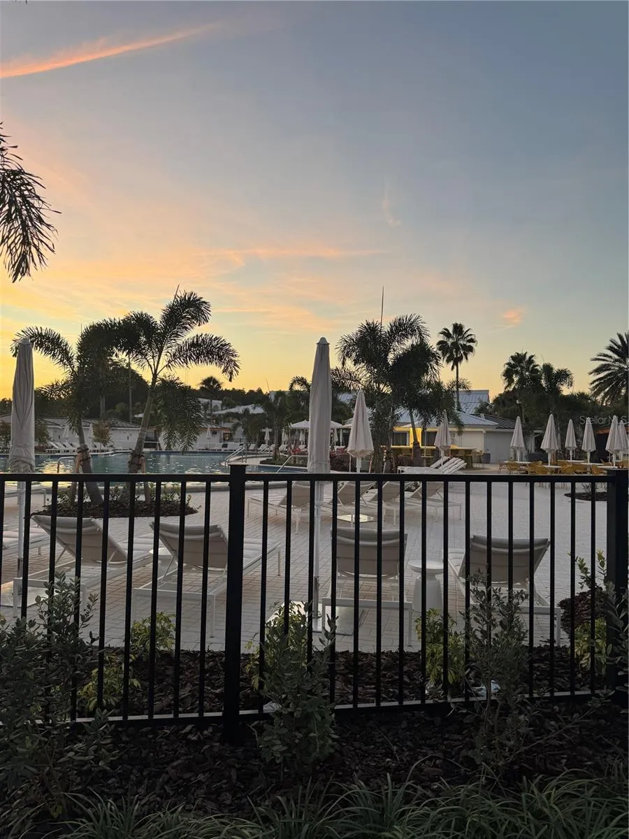 4786 FOX HUNT DRIVE #D743 Wesley Chapel, FL 33543