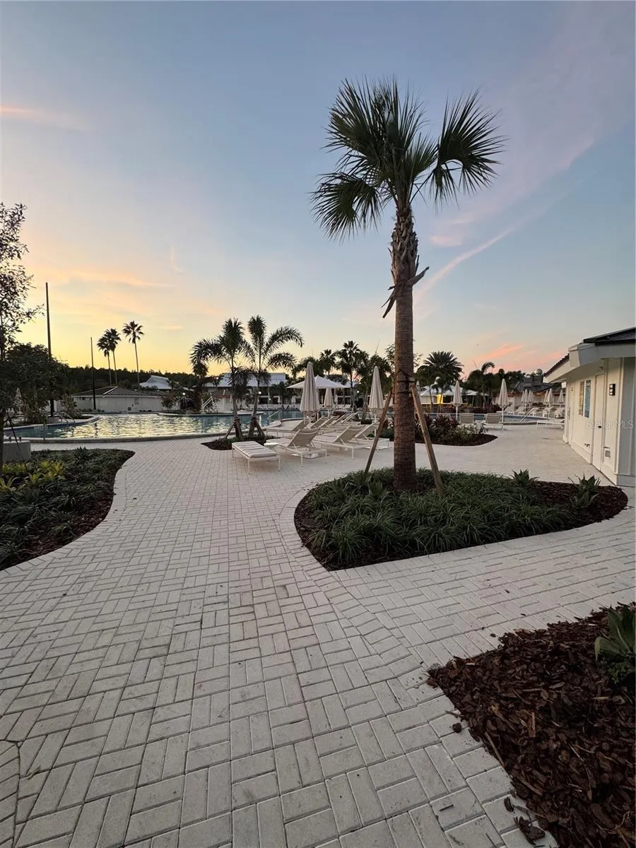 4786 FOX HUNT DRIVE #D743 Wesley Chapel, FL 33543