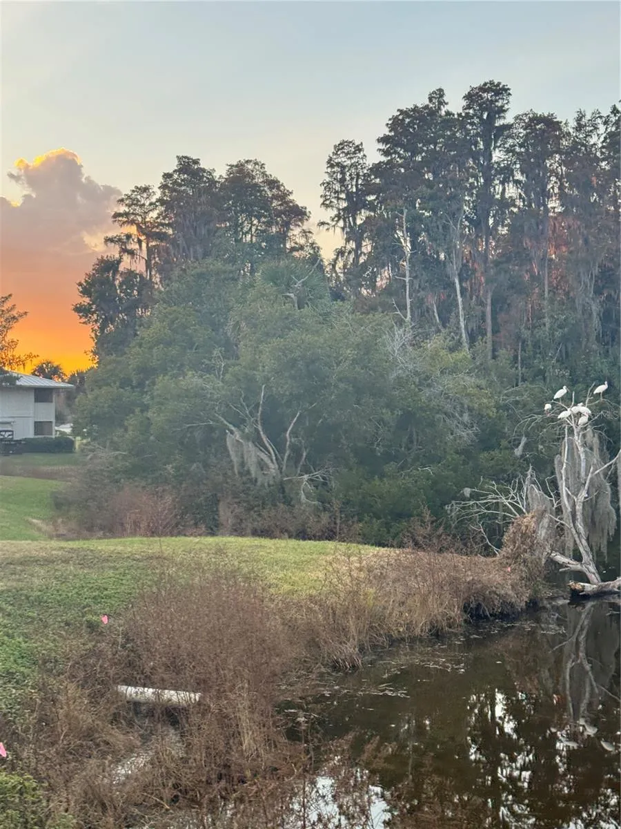 4786 FOX HUNT DRIVE #D743 Wesley Chapel, FL 33543