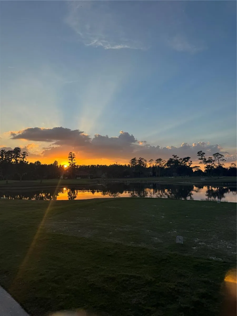 4786 FOX HUNT DRIVE #D743 Wesley Chapel, FL 33543
