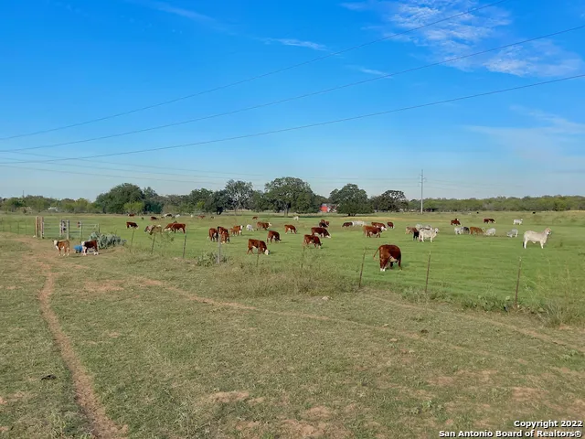 10671 BRIGGS RD Atascosa, TX 78002