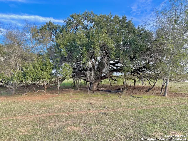 10671 BRIGGS RD Atascosa, TX 78002