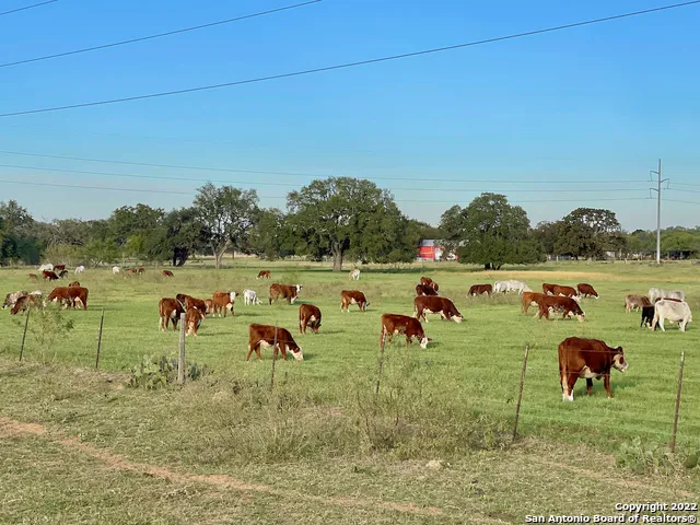 10671 BRIGGS RD Atascosa, TX 78002