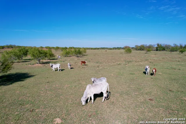 10671 BRIGGS RD Atascosa, TX 78002