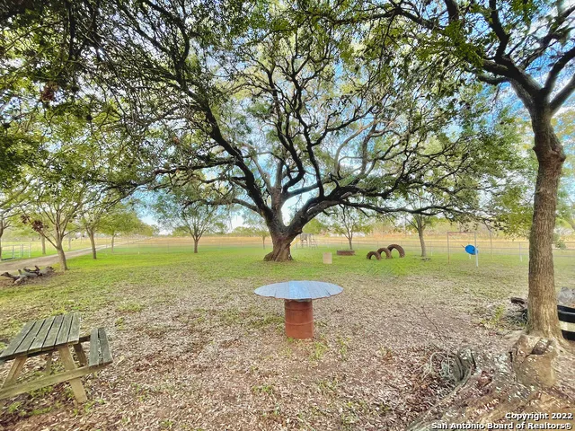 10671 BRIGGS RD Atascosa, TX 78002