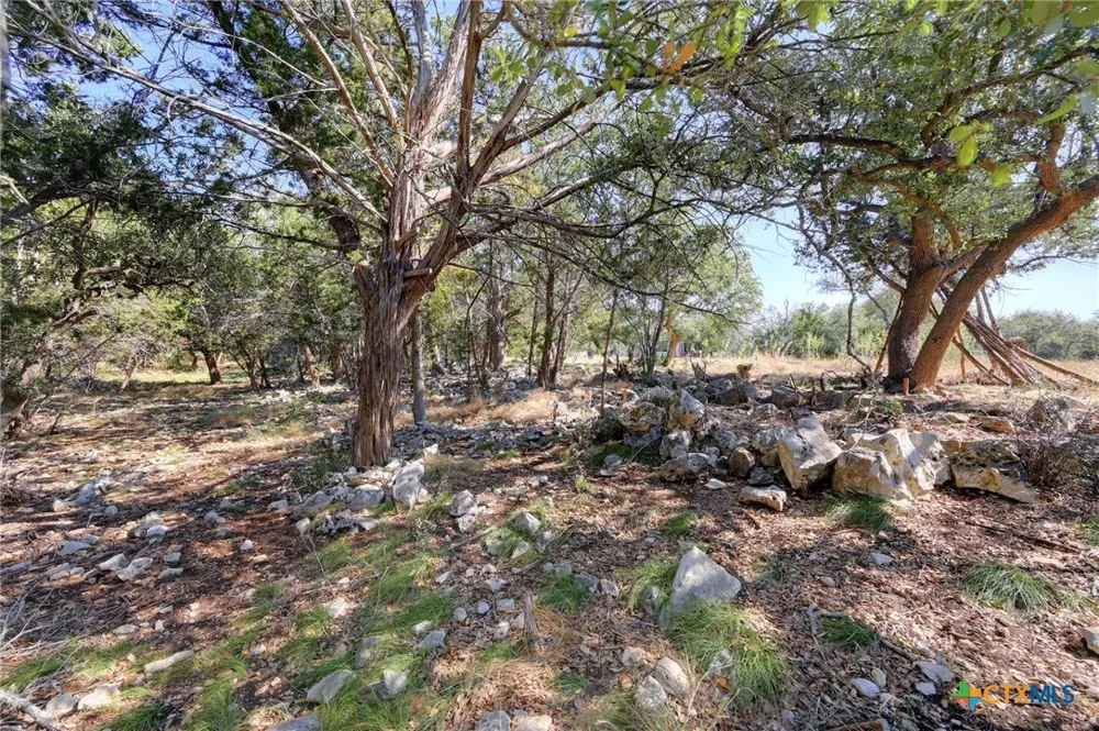 2062 Italia New Braunfels, TX 78132