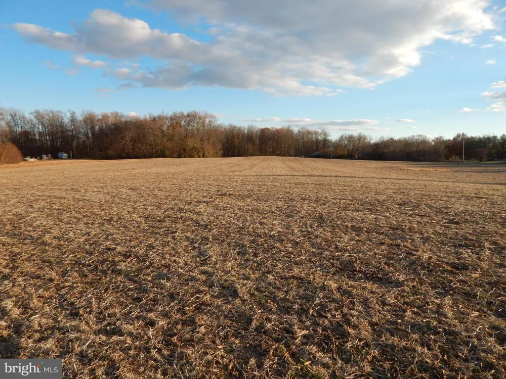 151 ANCHOR INN ROAD Townsend, DE 19734