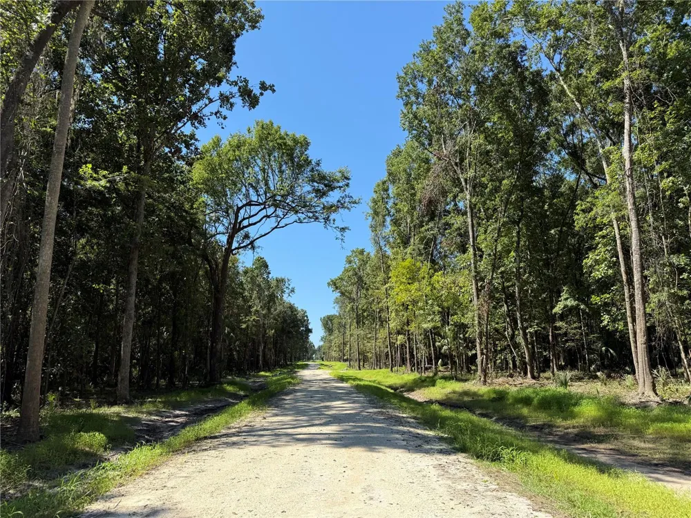 DR #8 (10ac) NW 193RD ST Micanopy, FL 32667
