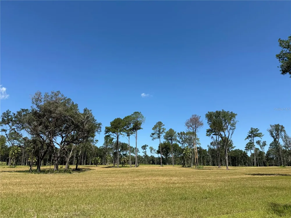 DR #8 (10ac) NW 193RD ST Micanopy, FL 32667