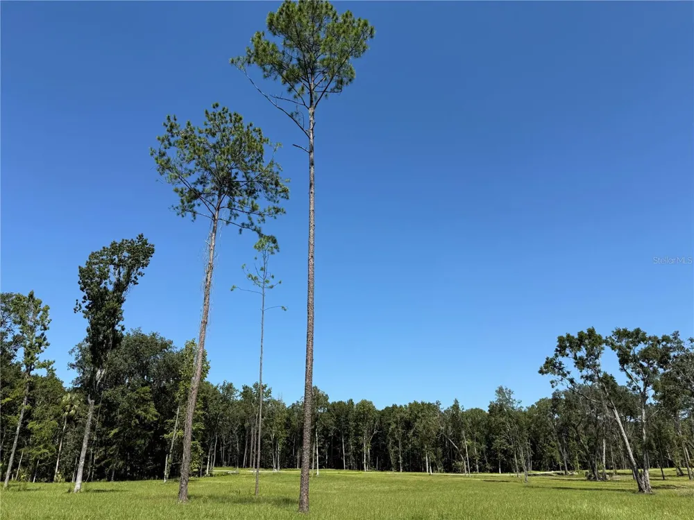 DR #8 (10ac) NW 193RD ST Micanopy, FL 32667