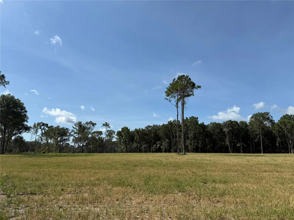 DR #8 (10ac) NW 193RD ST Micanopy, FL 32667