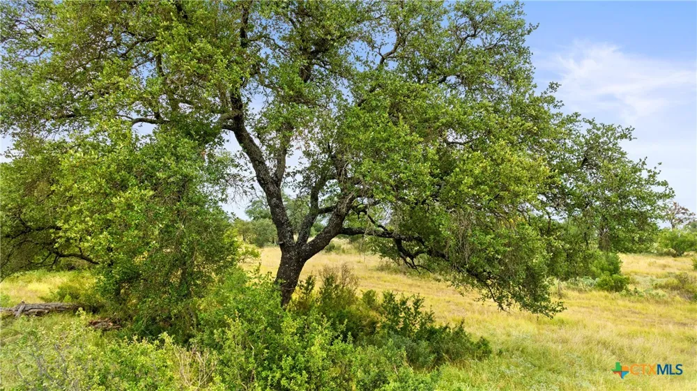 37 Vista Ridge Drive Round Mountain, TX 78663