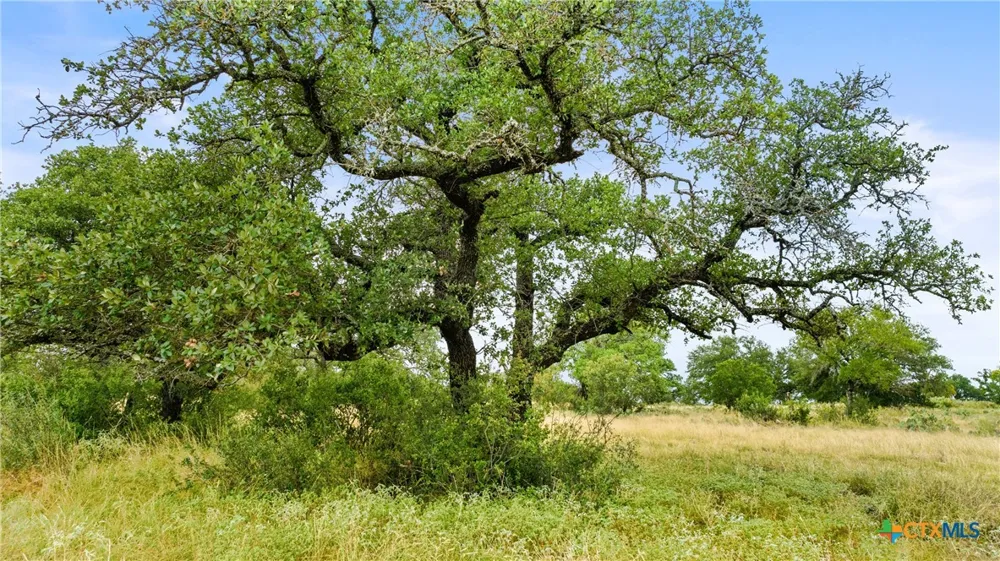 37 Vista Ridge Drive Round Mountain, TX 78663