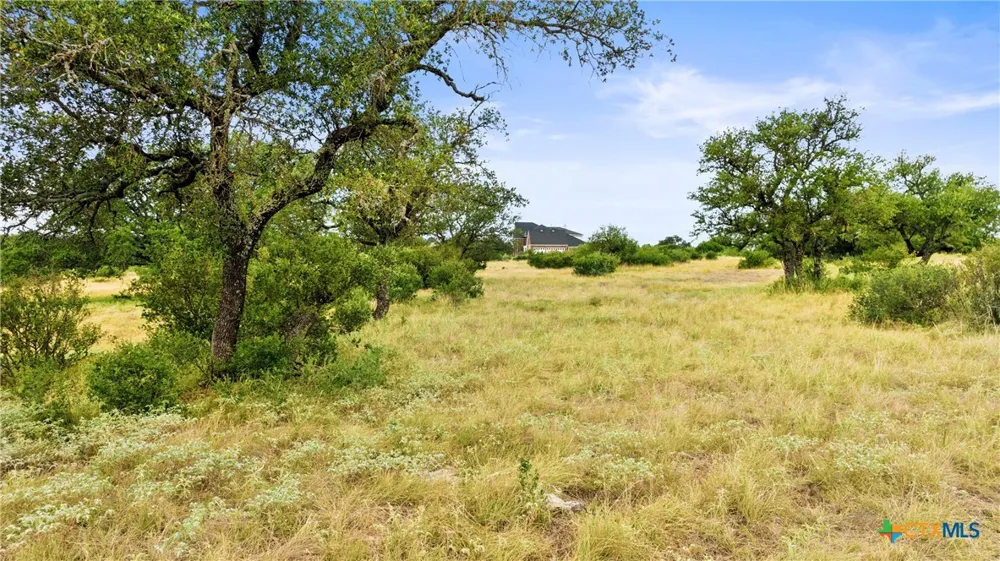 37 Vista Ridge Drive Round Mountain, TX 78663