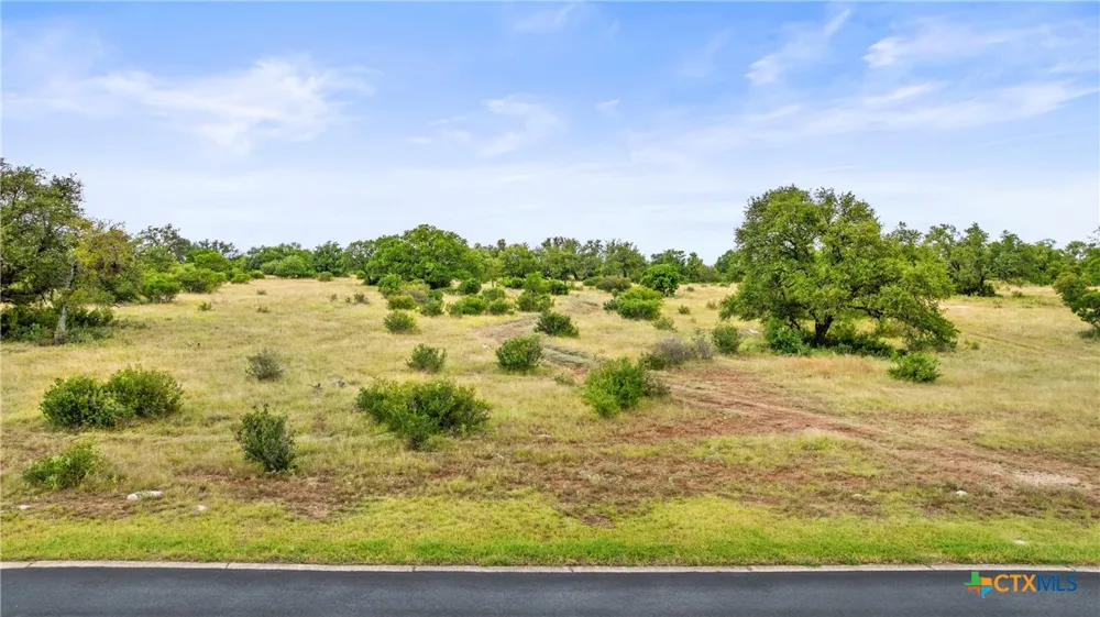 37 Vista Ridge Drive Round Mountain, TX 78663