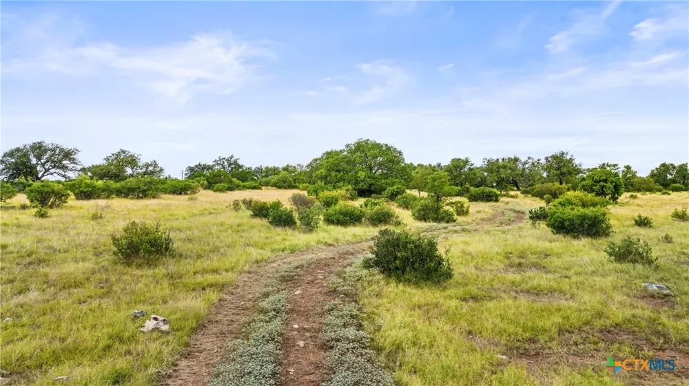 37 Vista Ridge Drive Round Mountain, TX 78663