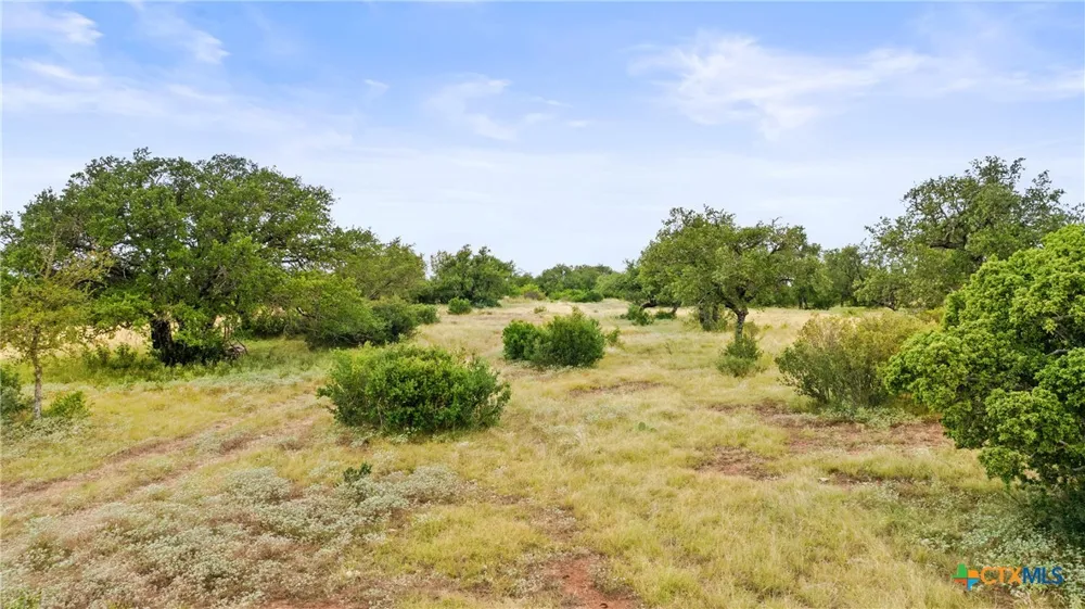 37 Vista Ridge Drive Round Mountain, TX 78663