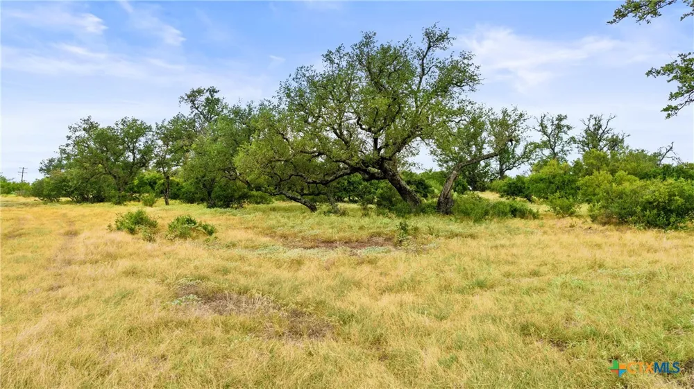 37 Vista Ridge Drive Round Mountain, TX 78663