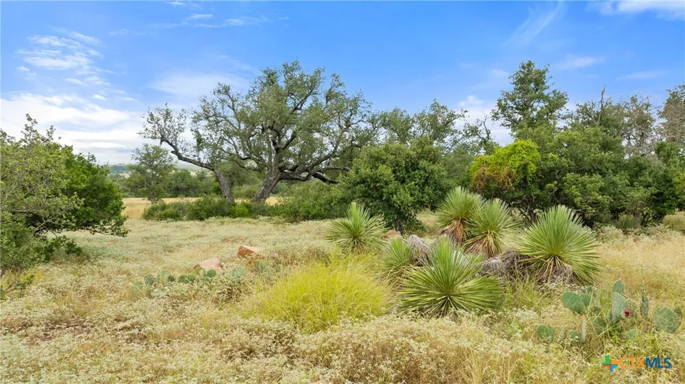 37 Vista Ridge Drive Round Mountain, TX 78663