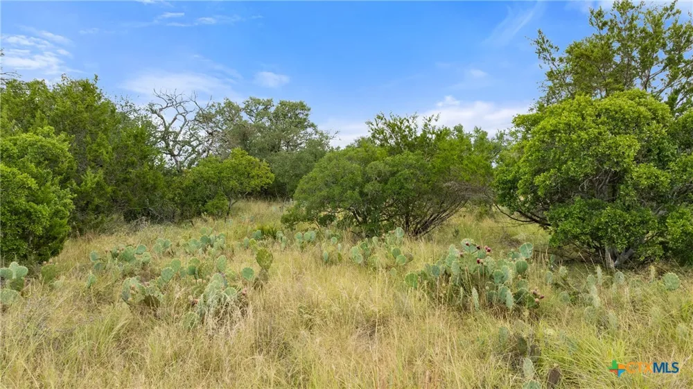 37 Vista Ridge Drive Round Mountain, TX 78663
