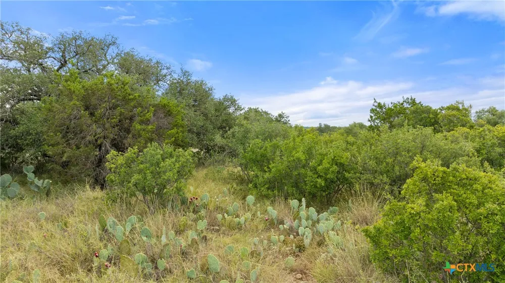 37 Vista Ridge Drive Round Mountain, TX 78663