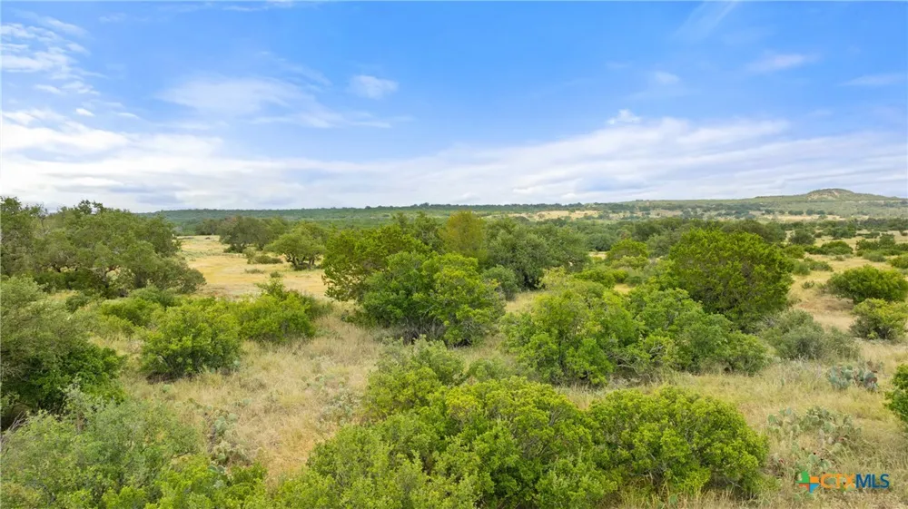 37 Vista Ridge Drive Round Mountain, TX 78663