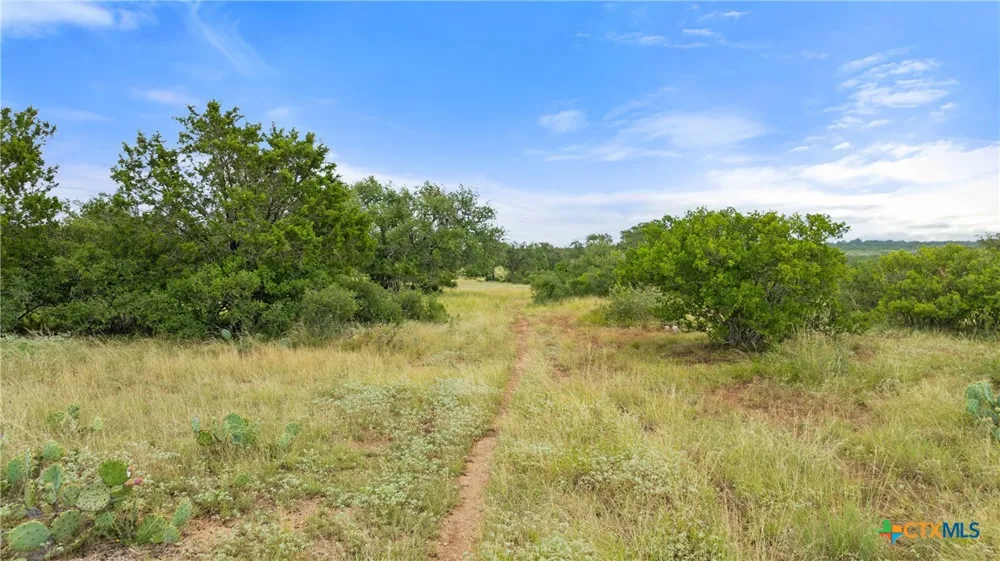 37 Vista Ridge Drive Round Mountain, TX 78663