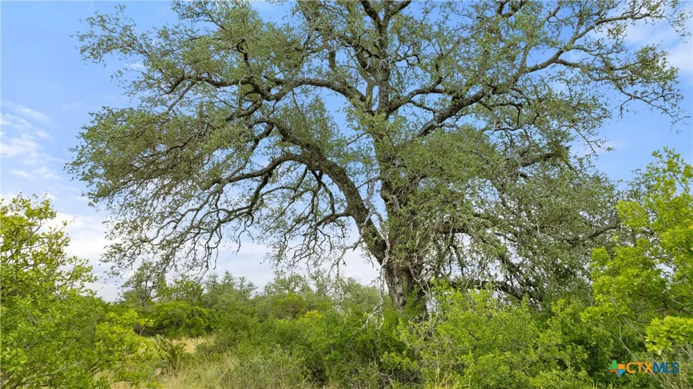 37 Vista Ridge Drive Round Mountain, TX 78663