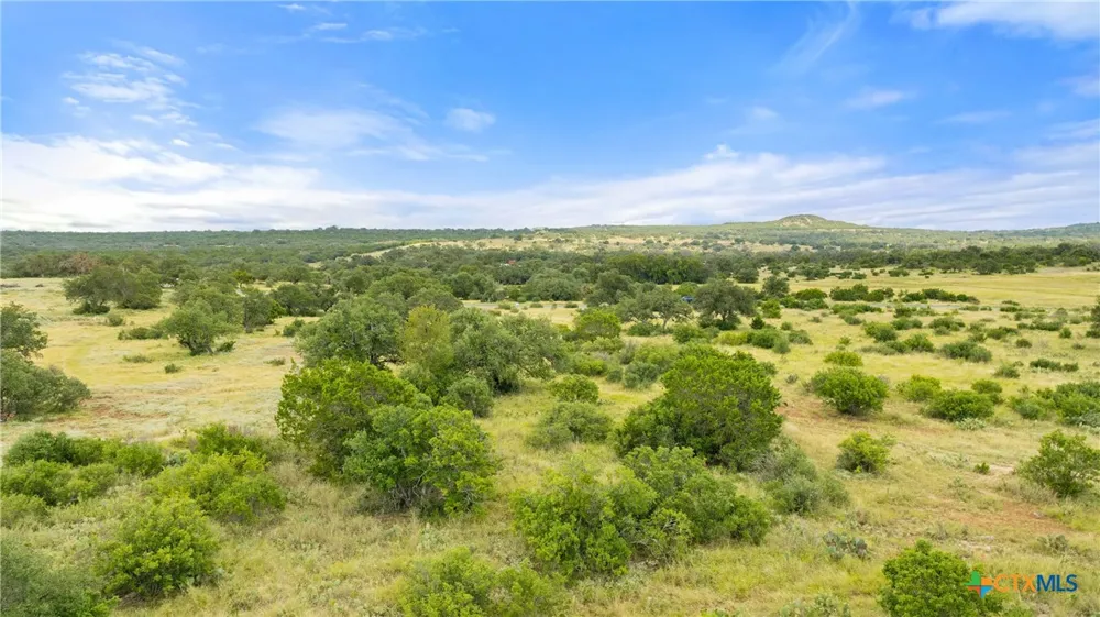 37 Vista Ridge Drive Round Mountain, TX 78663