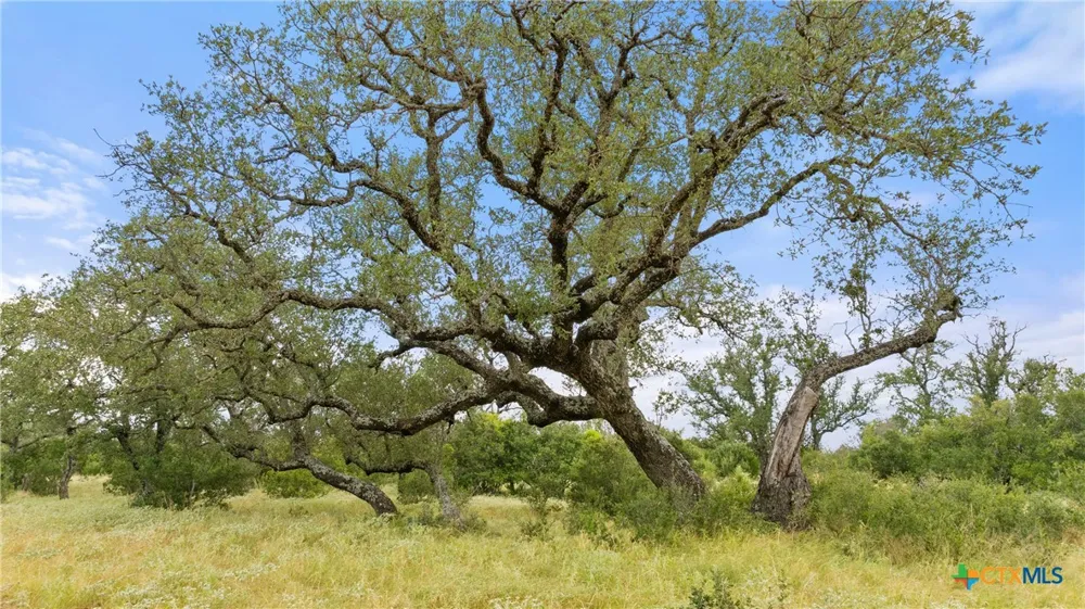 37 Vista Ridge Drive Round Mountain, TX 78663