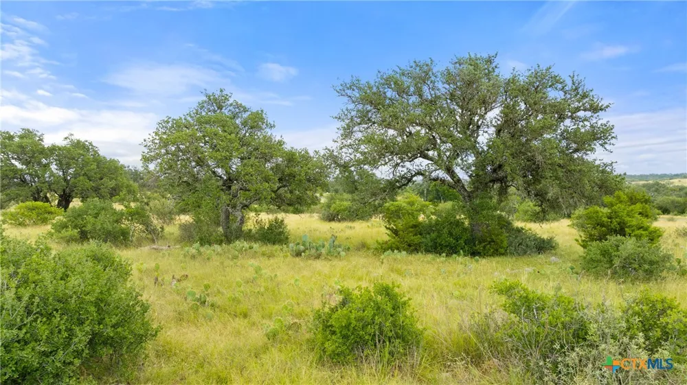37 Vista Ridge Drive Round Mountain, TX 78663