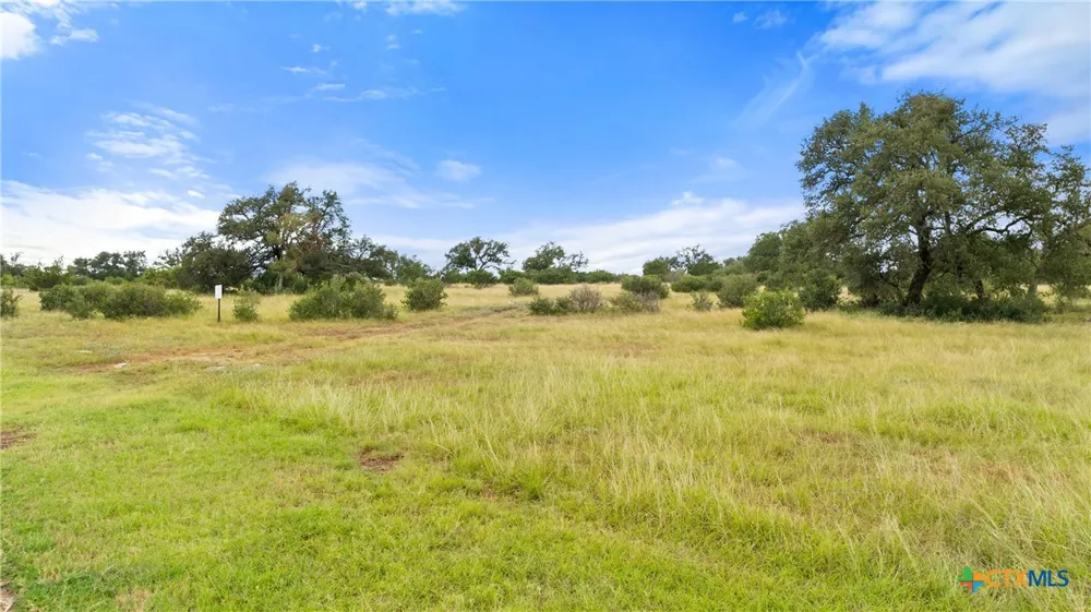 37 Vista Ridge Drive Round Mountain, TX 78663