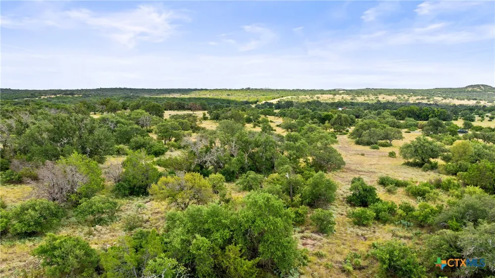 37 Vista Ridge Drive Round Mountain, TX 78663