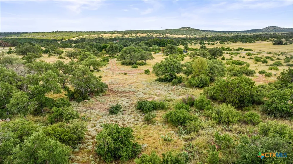 37 Vista Ridge Drive Round Mountain, TX 78663