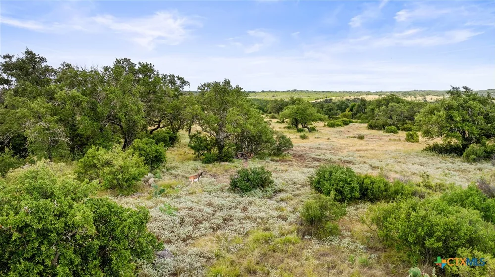 37 Vista Ridge Drive Round Mountain, TX 78663